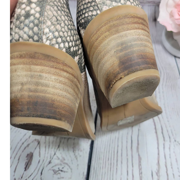 dolce vita snakeskin booties